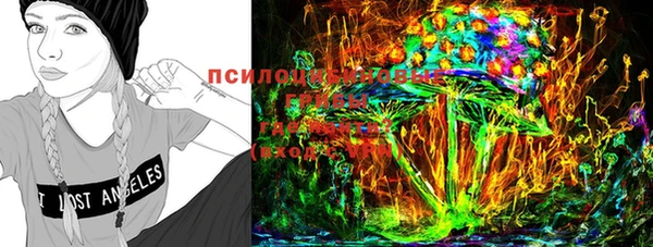 амф Лабытнанги