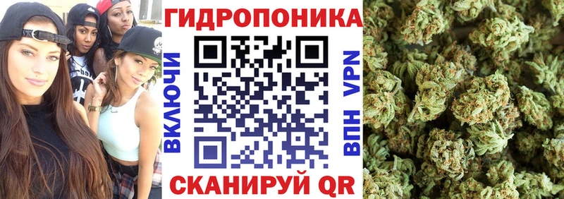 Конопля план  Чердынь 